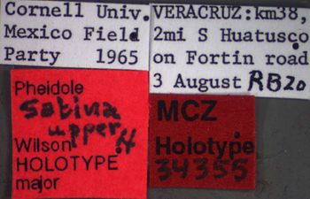 Media type: image;   Entomology 34355 Aspect: labels